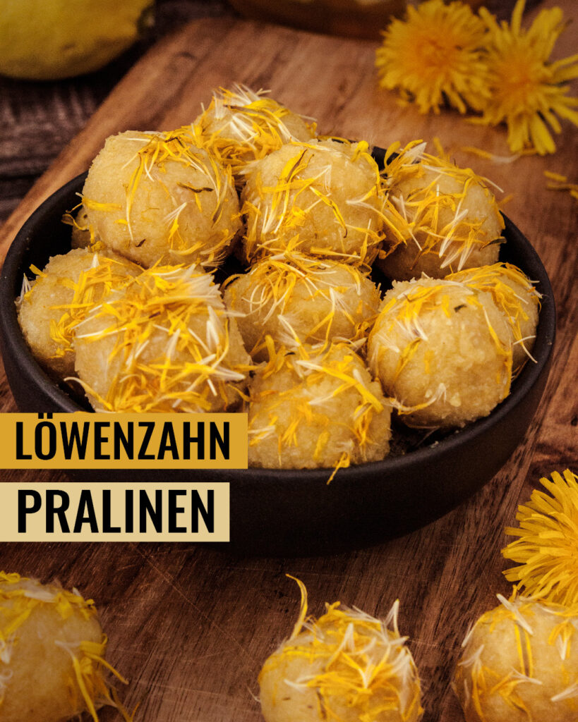 Löwenzahnpralinen